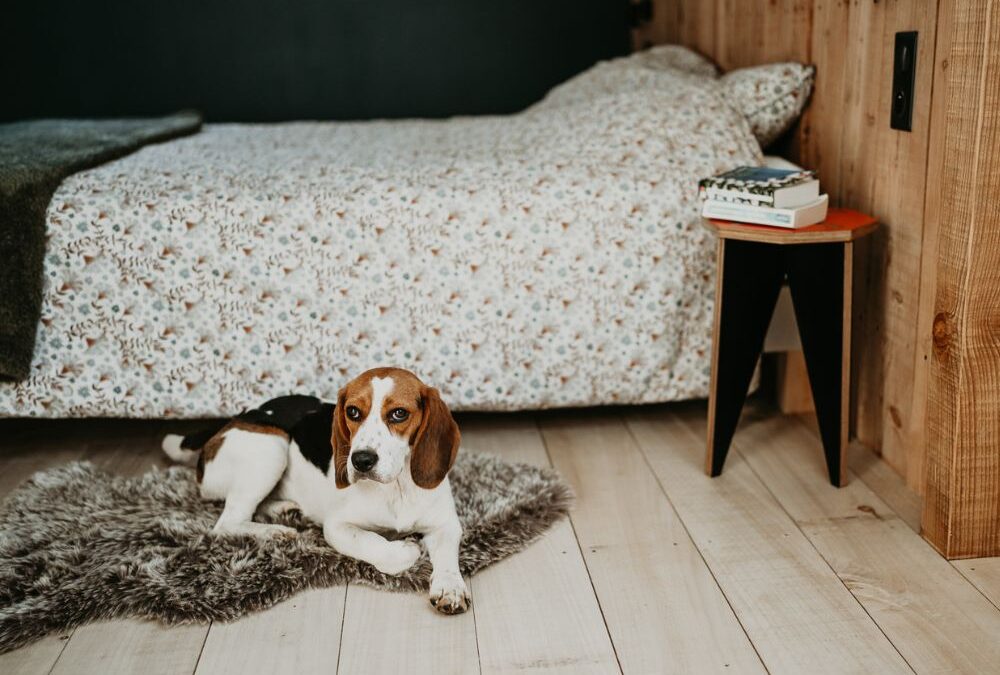 The ICAG Quality in Beagle & Wood Design Furniture