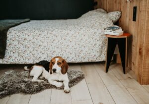 Beagle and Wood marque meubles design ICAG
