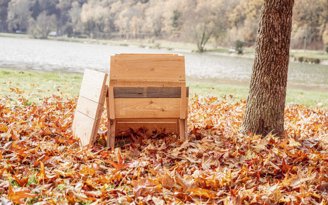 Comment Réussir Son Compostage de Toilettes Sèches ?